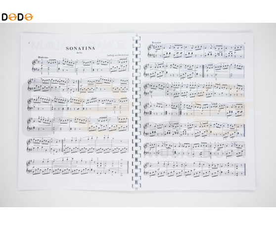 Sonatina Album (Alfred edtition)